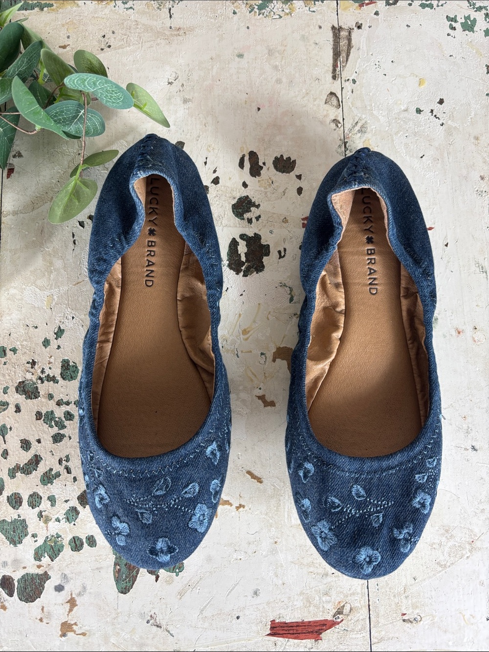 Lucky Brand > Navy Blue Floral Velvet Ballet Flats 7.5 - Picture 2 of 7